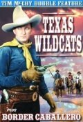 Смотреть фильм Texas Wildcats (1939) онлайн в хорошем качестве SATRip