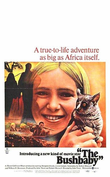 Смотреть фильм The Bushbaby (1969) онлайн в хорошем качестве SATRip