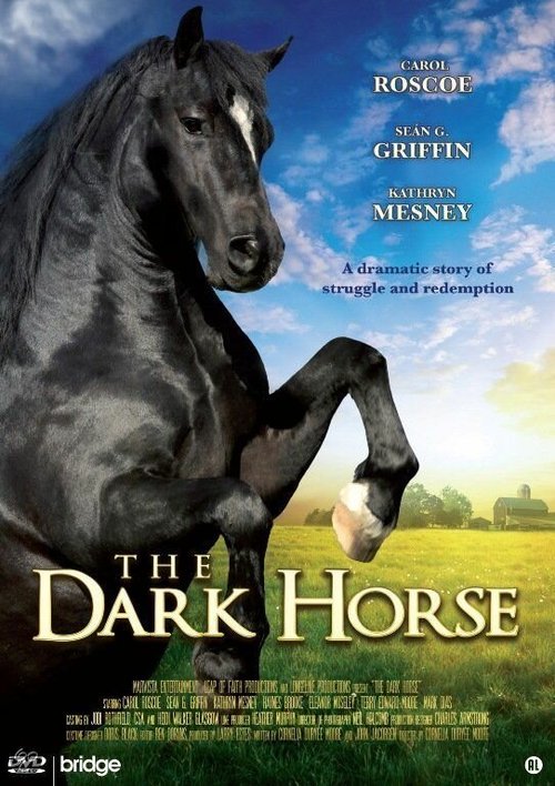 Смотреть фильм The Dark Horse (2008) онлайн в хорошем качестве HDRip