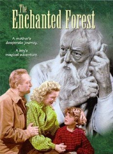 Смотреть фильм The Enchanted Forest (1945) онлайн в хорошем качестве SATRip