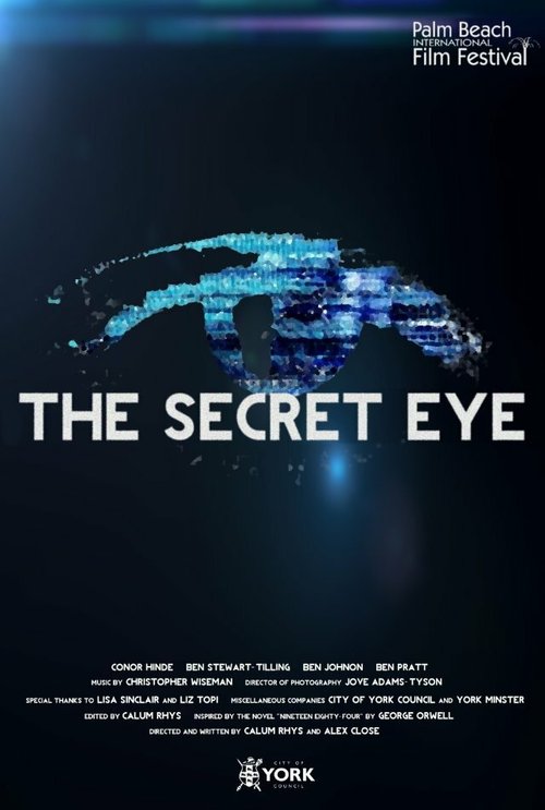 Смотреть фильм The Secret Eye (2013) онлайн 