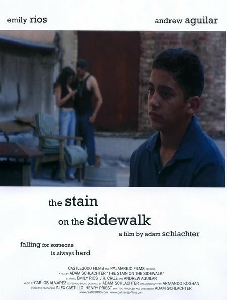 Смотреть фильм The Stain on the Sidewalk (2007) онлайн 