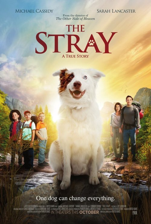 Смотреть фильм The Stray (2017) онлайн в хорошем качестве HDRip