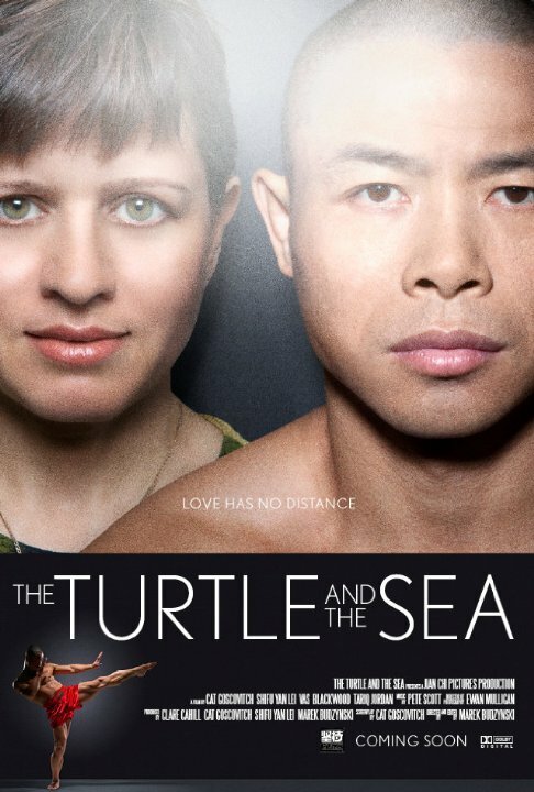 Смотреть фильм The Turtle and the Sea (2014) онлайн в хорошем качестве HDRip