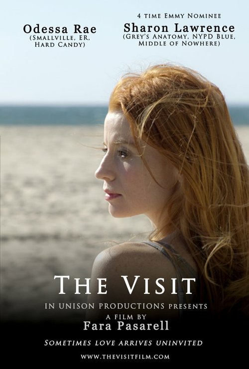 Смотреть фильм The Visit (2012) онлайн в хорошем качестве HDRip