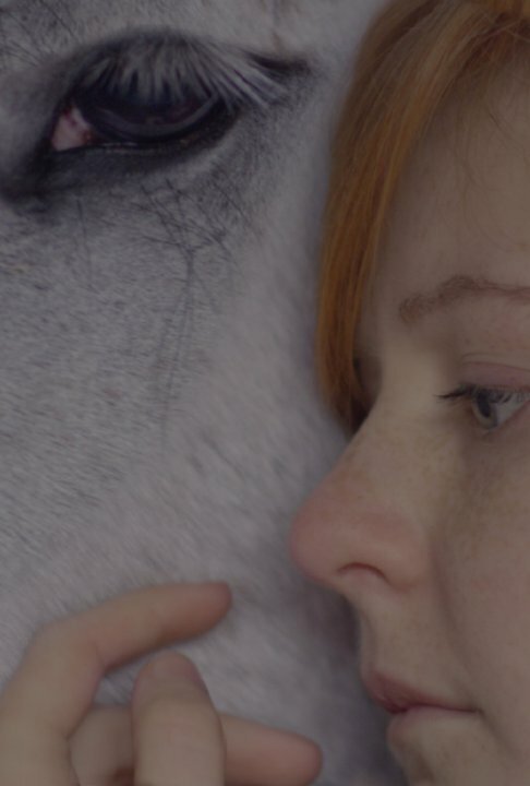 Смотреть фильм The Wishing Horse (2014) онлайн 