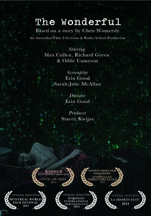 Смотреть фильм The Wonderful (2013) онлайн 