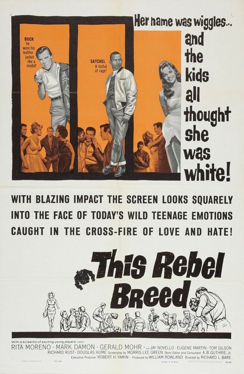 Смотреть фильм This Rebel Breed (1960) онлайн в хорошем качестве SATRip