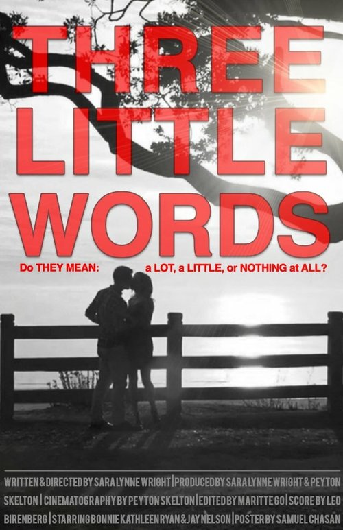 Смотреть фильм Three Little Words (2013) онлайн 