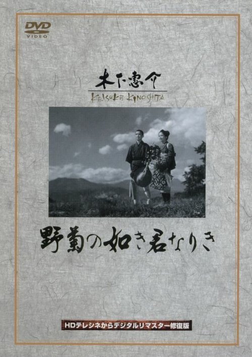 Смотреть фильм Ты была подобна дикой хризантеме / Nogiku no gotoki kimi nariki (1955) онлайн в хорошем качестве SATRip