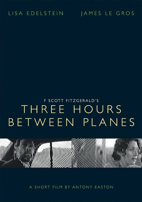 Смотреть фильм Три часа между самолётами / Three Hours Between Planes (2013) онлайн 