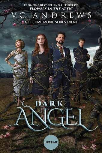 Смотреть фильм Тёмный ангел / Dark Angel (2019) онлайн в хорошем качестве HDRip