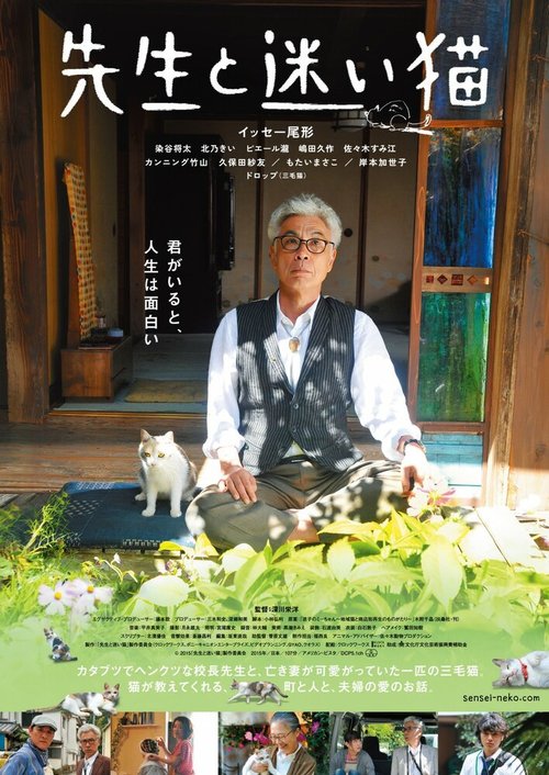 Смотреть фильм Учитель и бездомный кот / Sensei to mayoi neko (2015) онлайн в хорошем качестве HDRip