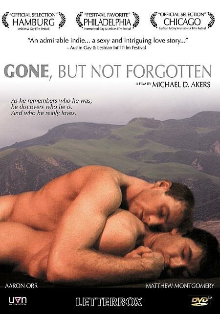 Смотреть фильм Ушел, но не забыт / Gone, But Not Forgotten (2003) онлайн в хорошем качестве HDRip