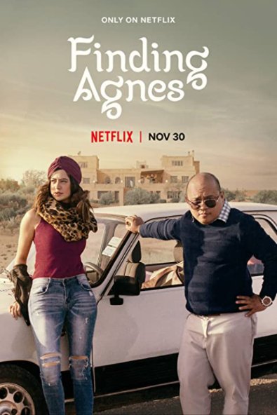 Смотреть фильм В поисках Агнес / Finding Agnes (2020) онлайн в хорошем качестве HDRip