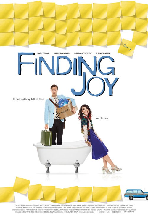 Смотреть фильм В поисках радости / Finding Joy (2013) онлайн в хорошем качестве HDRip