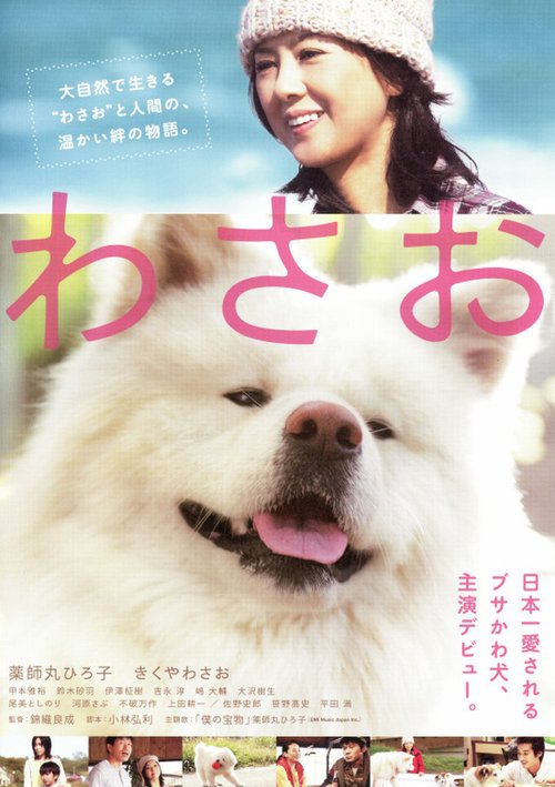 Смотреть фильм Васао / Wasao (2011) онлайн в хорошем качестве HDRip