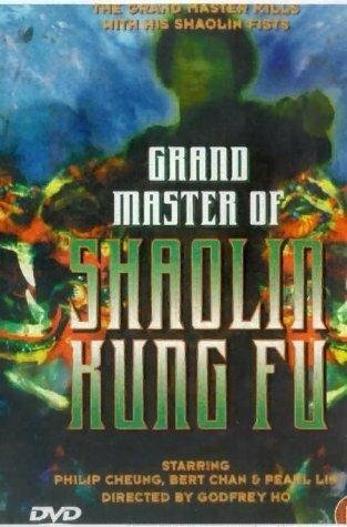 Смотреть фильм Великий магистр Шаолинь кун-фу / Dalmasingong (1978) онлайн в хорошем качестве SATRip