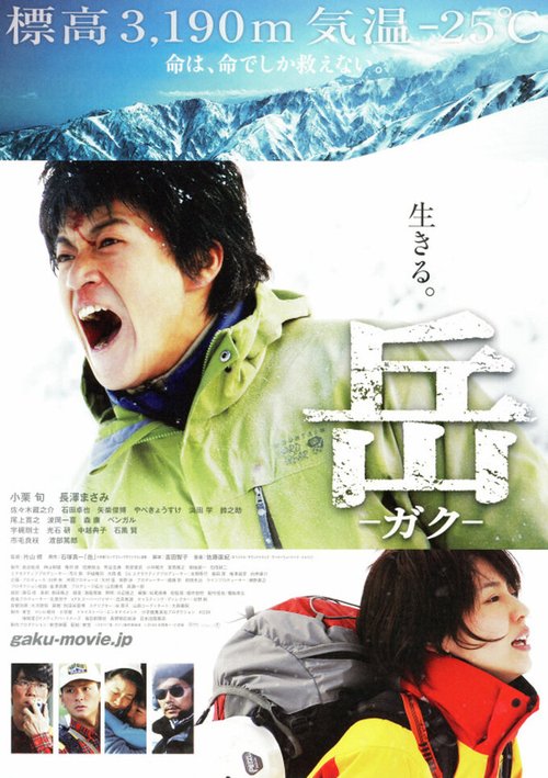 Смотреть фильм Вершина: Спасатели / Gaku (2011) онлайн в хорошем качестве HDRip