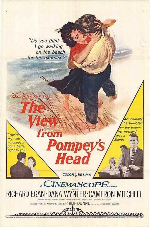 Смотреть фильм Вид с Головы Помпея / The View from Pompey's Head (1955) онлайн в хорошем качестве SATRip