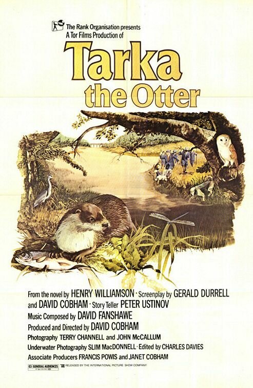 Смотреть фильм Выдра по имени Тарка / Tarka the Otter (1978) онлайн в хорошем качестве SATRip