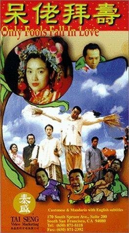 Смотреть фильм Влюбляются только дураки / Dai lo bai sau (1995) онлайн в хорошем качестве HDRip