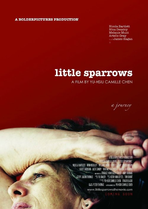 Воробышки / Little Sparrows