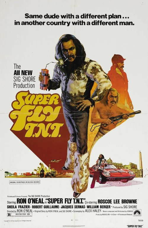 Смотреть фильм Возвращение Суперфлая / Super Fly T.N.T. (1973) онлайн в хорошем качестве SATRip