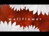 Смотреть фильм Wallflower (2006) онлайн 