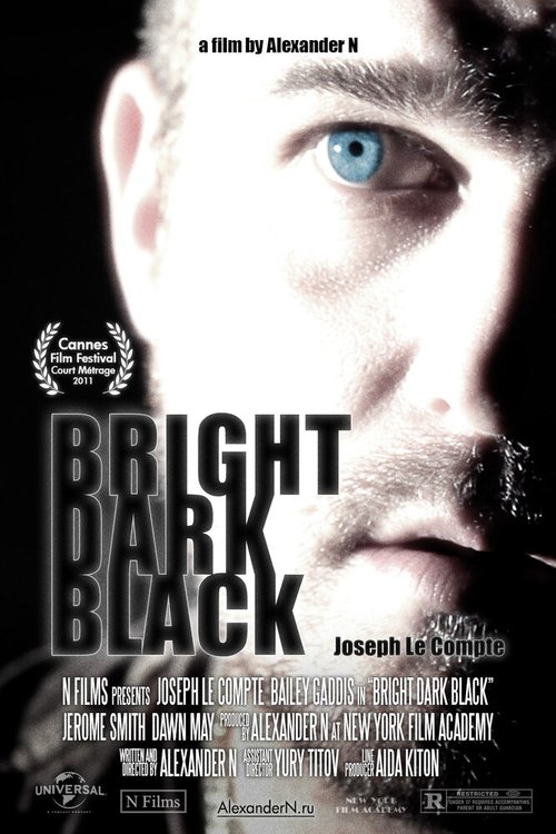 Смотреть фильм Яркий тёмно-чёрный / Bright Dark Black (2011) онлайн в хорошем качестве HDRip