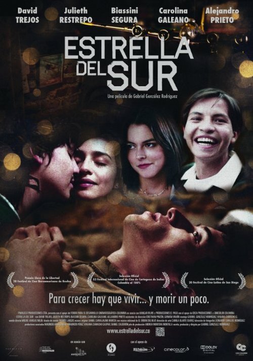 Смотреть фильм Южная звезда / Estrella del Sur (2013) онлайн в хорошем качестве HDRip