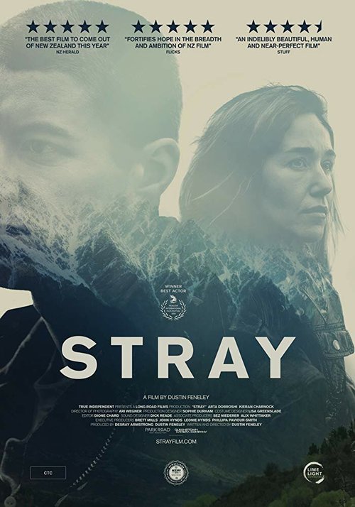 Смотреть фильм Заблудшие / Stray (2018) онлайн в хорошем качестве HDRip