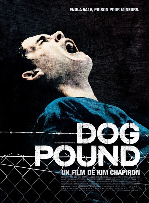 Смотреть фильм Загон для собак / Dog Pound (2009) онлайн в хорошем качестве HDRip