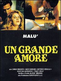 Смотреть фильм Желание / Un grande amore (1995) онлайн в хорошем качестве HDRip