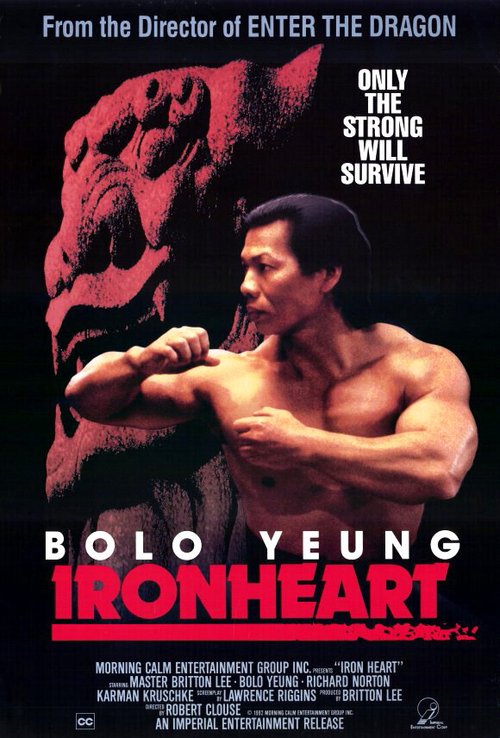 Смотреть фильм Железное сердце / Ironheart (1992) онлайн в хорошем качестве HDRip