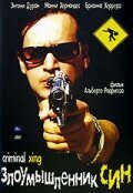 Смотреть фильм Злоумышленник Син / Criminal Xing (2007) онлайн в хорошем качестве HDRip