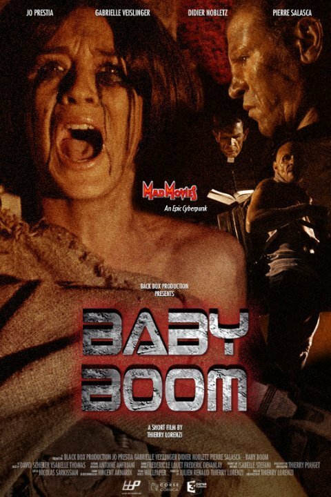 Смотреть фильм Baby Boom (2009) онлайн 