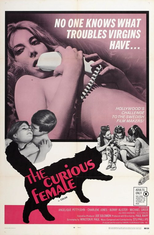 Смотреть фильм Любопытные женщины / The Curious Female (1970) онлайн в хорошем качестве SATRip