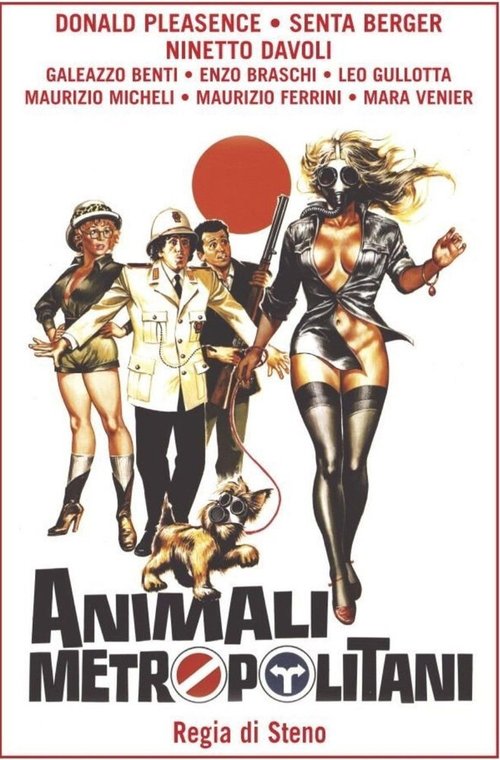 Смотреть фильм Столичное животное / Animali metropolitani (1987) онлайн 