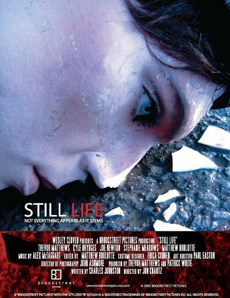 Смотреть фильм Застывшая жизнь / Still Life (2005) онлайн 