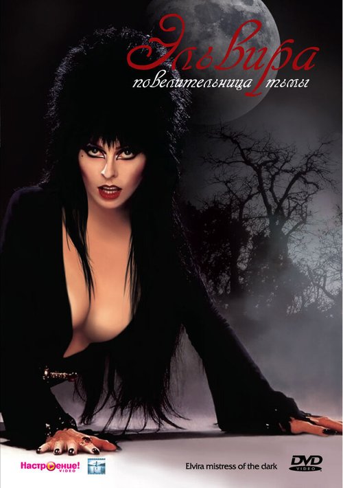 Смотреть фильм Эльвира: Повелительница тьмы / Elvira: Mistress of the Dark (1988) онлайн в хорошем качестве SATRip