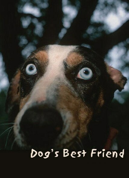 Смотреть фильм Лучший друг собак / Dog's Best Friend (1997) онлайн в хорошем качестве HDRip