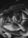 Смотреть фильм Принцесса никотина / Princess Nicotine; or, The Smoke Fairy (1909) онлайн 