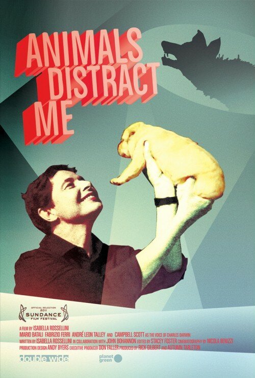 Смотреть фильм Животные меня отвлекают / Animals Distract Me (2011) онлайн 