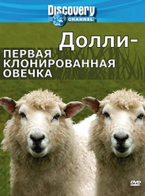 Смотреть фильм Discovery: Долли — первая клонированная овечка / Dolly: The First Cloned Sheep (2006) онлайн в хорошем качестве HDRip