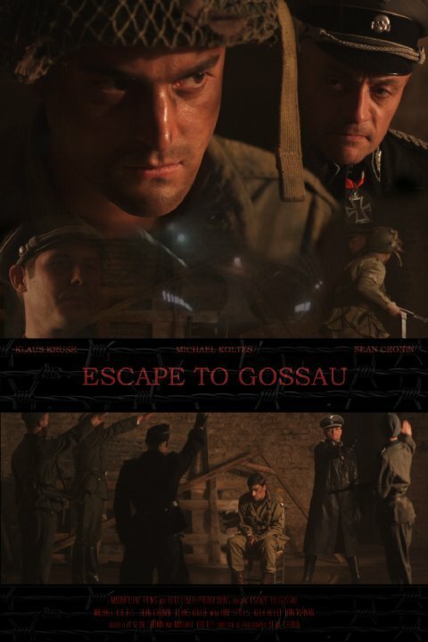 Смотреть фильм Escape to Gossau (2013) онлайн 