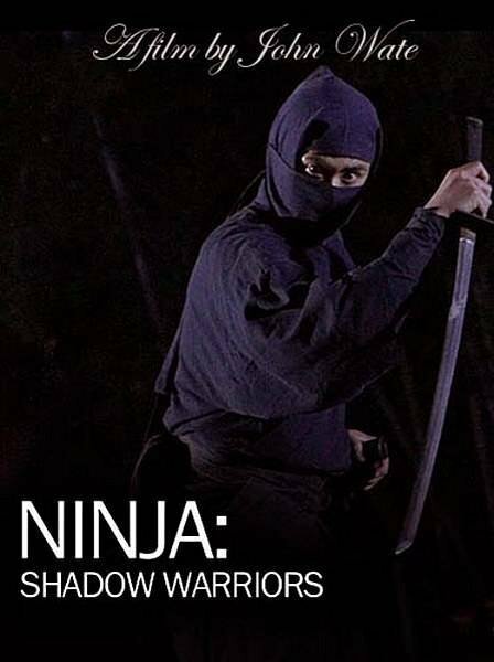 Смотреть фильм Ниндзя: Воины-тени / Ninja Shadow Warriors (2012) онлайн в хорошем качестве HDRip