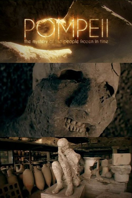 Смотреть фильм Помпеи: Застывшие во времени / Pompeii: The Mystery of the People Frozen in Time (2013) онлайн в хорошем качестве HDRip