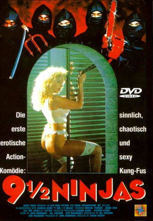 Смотреть фильм 9 с половиной ниндзя / 9 1/2 Ninjas! (1991) онлайн в хорошем качестве HDRip