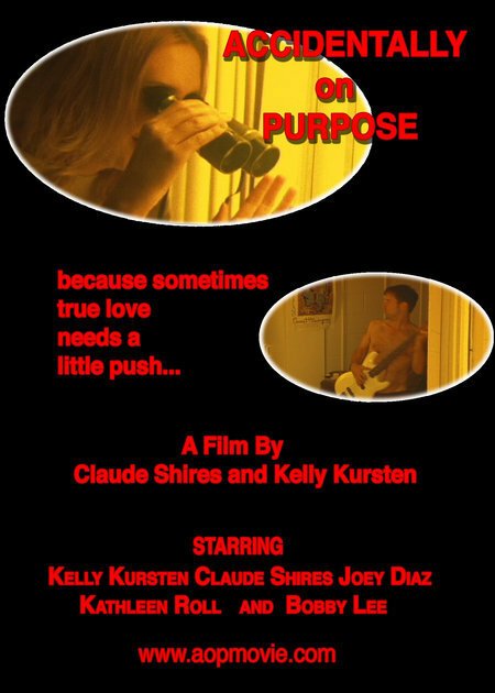 Смотреть фильм Accidentally on Purpose (2005) онлайн в хорошем качестве HDRip